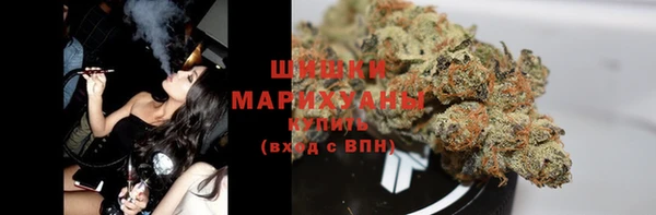 стаф Балахна